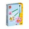 LEGO Iconic Lotus Çiçekleri 40647