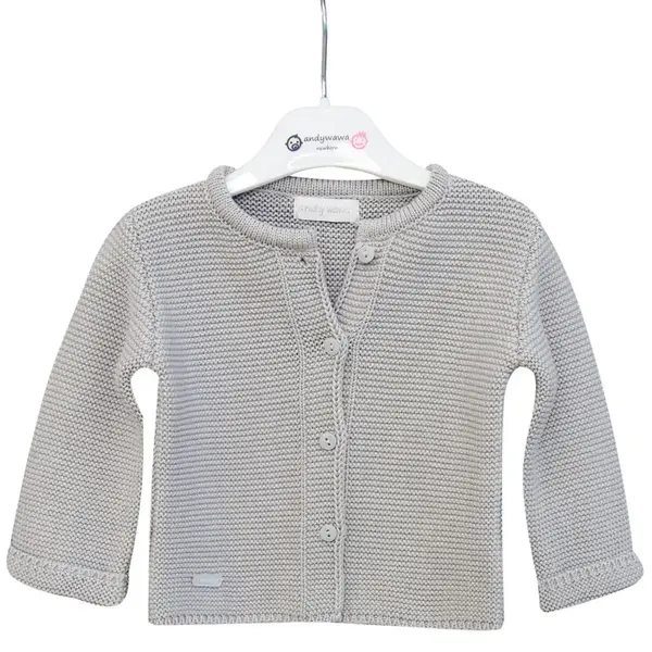 Andy Wawa Ceket Basic Gri Melanj