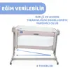Chicco Next2me Forever Anne Yanı Beşik Sand