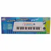 Elektronik Mikrofonlu 37 Tuş Org 