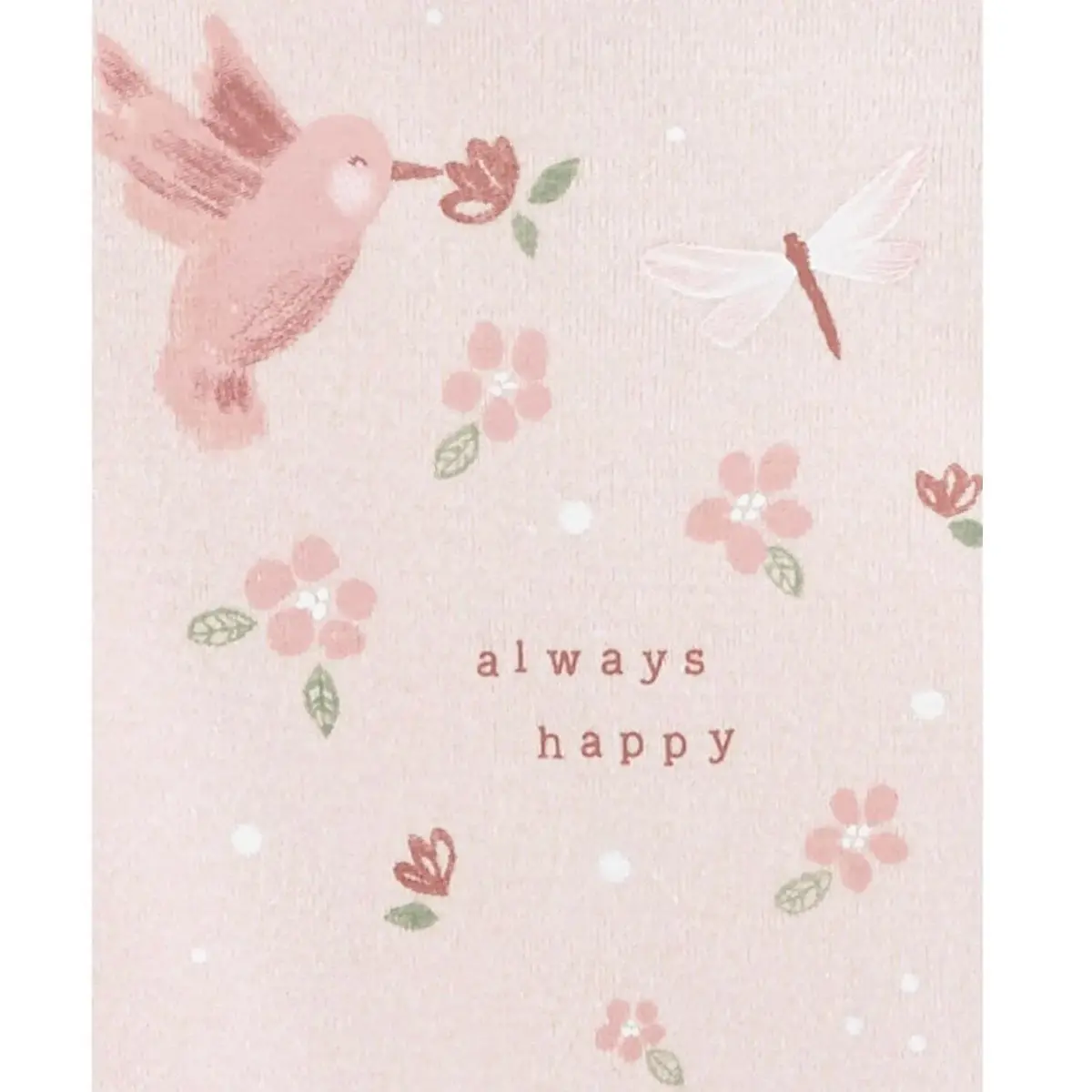 Carter's Body Takımı 5li Çok Renkli