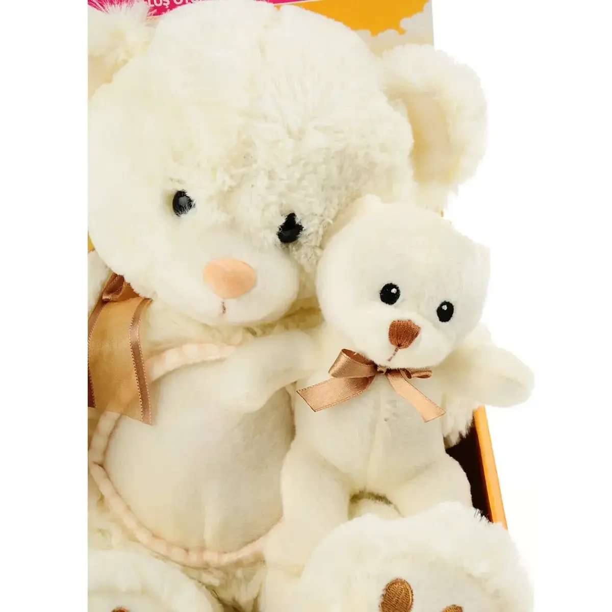 Peluş Ayı Türkçe Masal Anlatan 