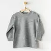 Andy Wawa Sweatshirt Basic Gri Melanj