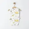 Tiffany Atlet Body 3lü Dinosaur Theme