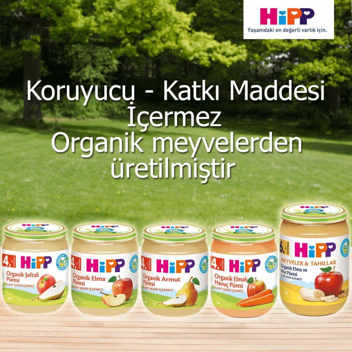 Hipp Organik Elma Püresi 125 gr x3