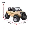 Pilsan Safari 4X4 Çift Kişilik Akülü Araba 24V