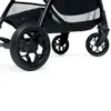Chicco Glee Kabin Bebek Arabası Playful Black