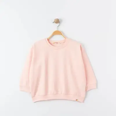 Tiffany Sweatshirt Oversize Theme Pudra