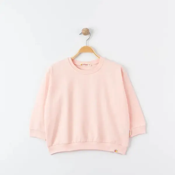 Tiffany Sweatshirt Oversize Theme Pudra