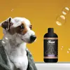 Sleepy Petcare Evcil Hayvan Şampuanı Lavanta Yağlı 500 ml x 3