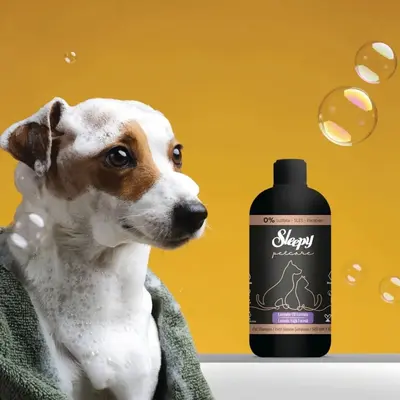 Sleepy Petcare Evcil Hayvan Şampuanı Lavanta Yağlı 500 ml x 3