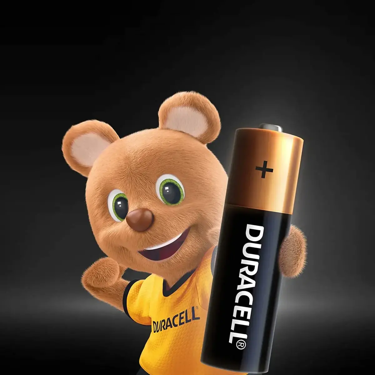 Duracell AA Kalem Pil 6+2 Li