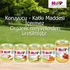 Hipp Organik Elma Püresi 125 gr x3