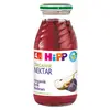 Hipp Organik Erik Nektarı 200ml