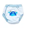 Babyjem Soft Alıştırma Külodu 3 Yaş Mavi