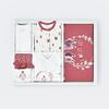 Bibaby Hastane Çıkışı 10lu Organik Little Love Rose Dry