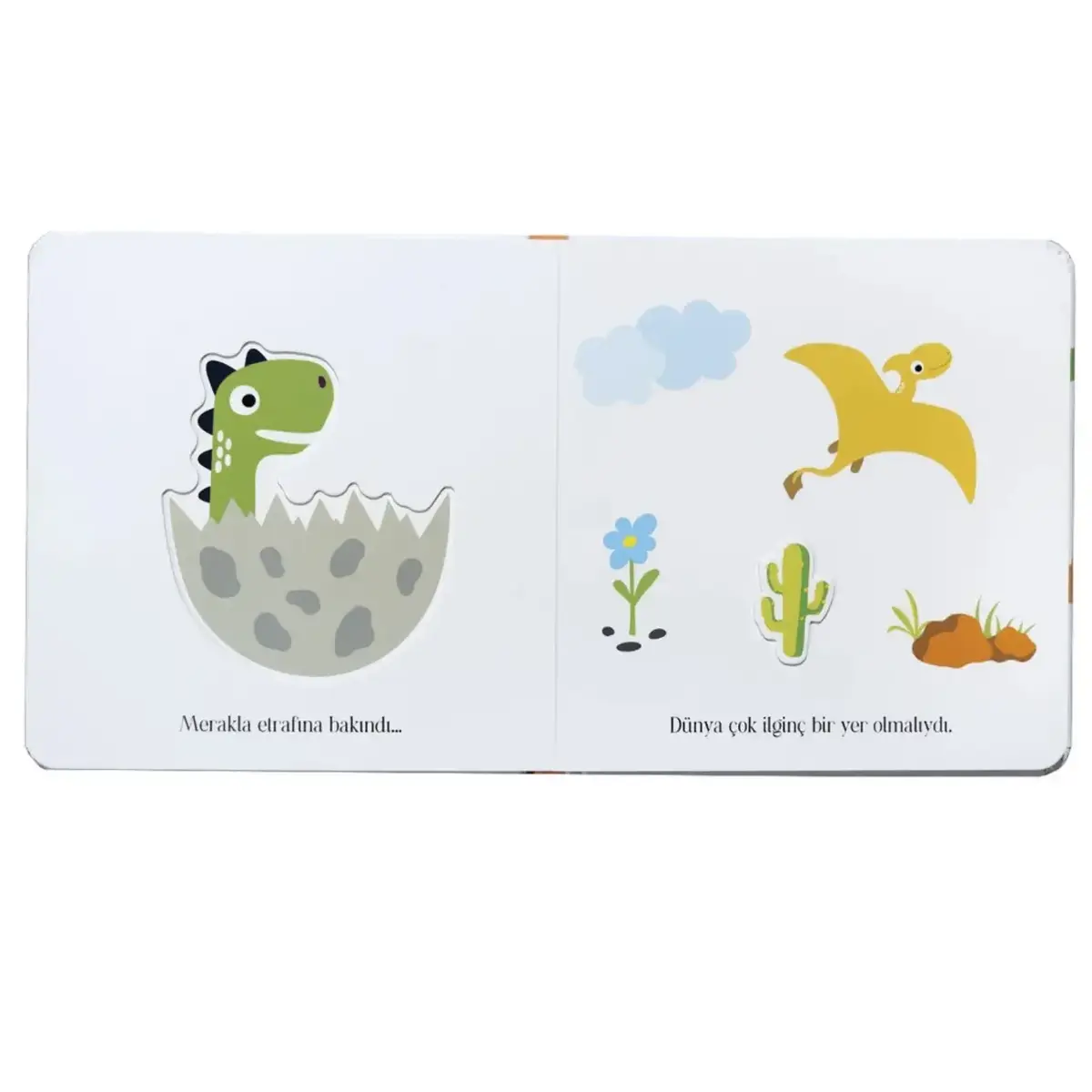 Pencereli Dokun Hisset-Küçük Yeşil Dinozor