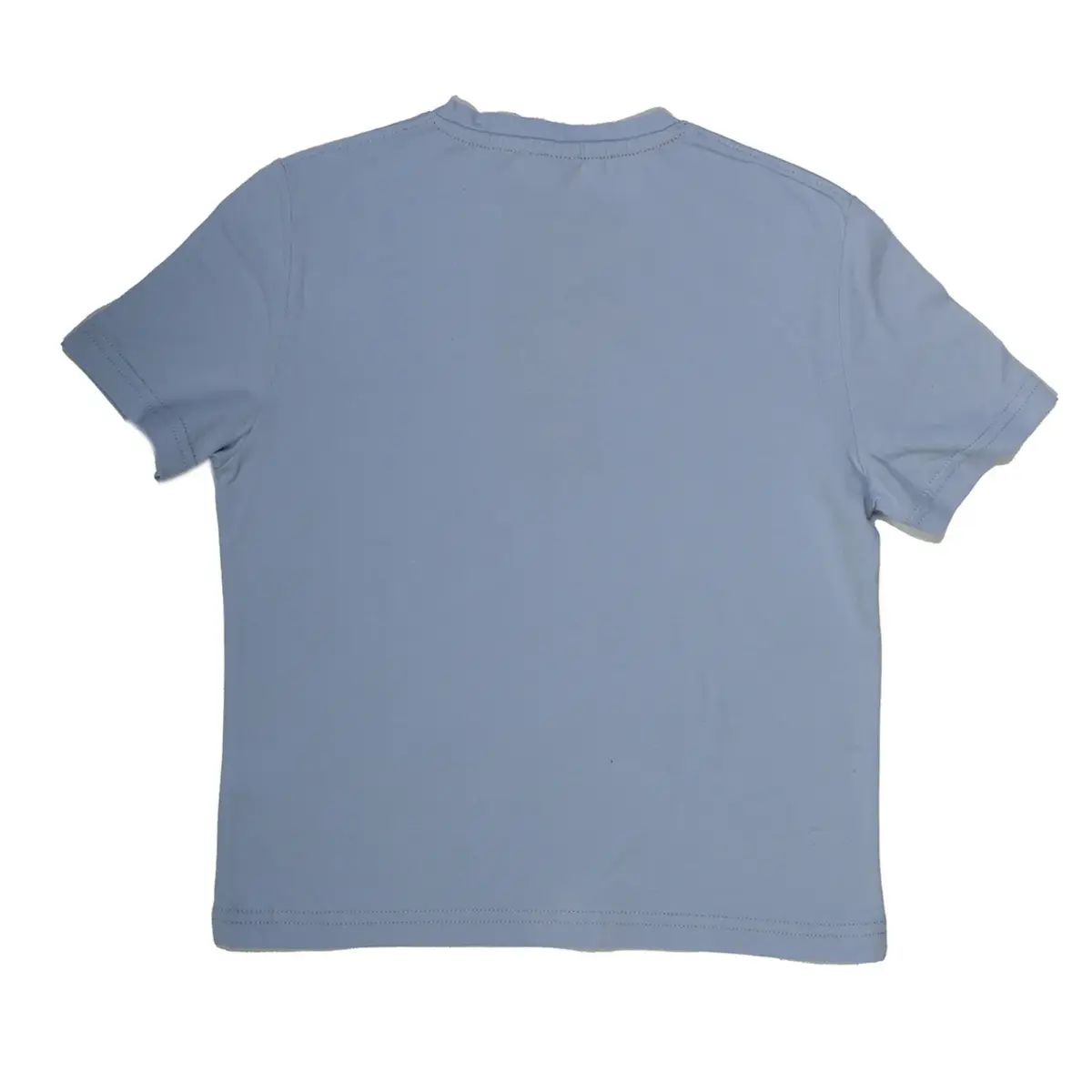 Hvc T-Shirt Legendary Baskılı Mavi