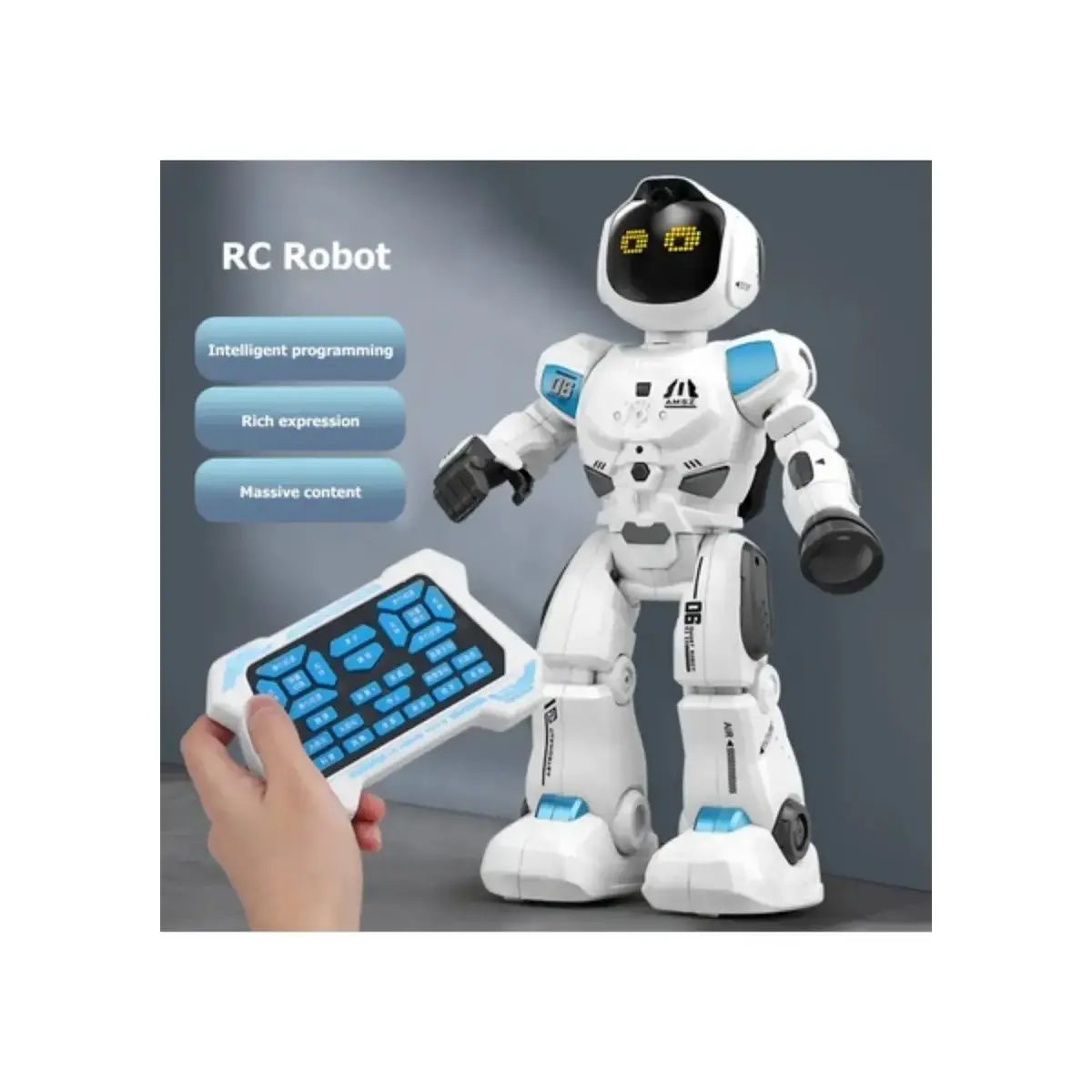 Çok Fonksiyonlu Akıllı Robot