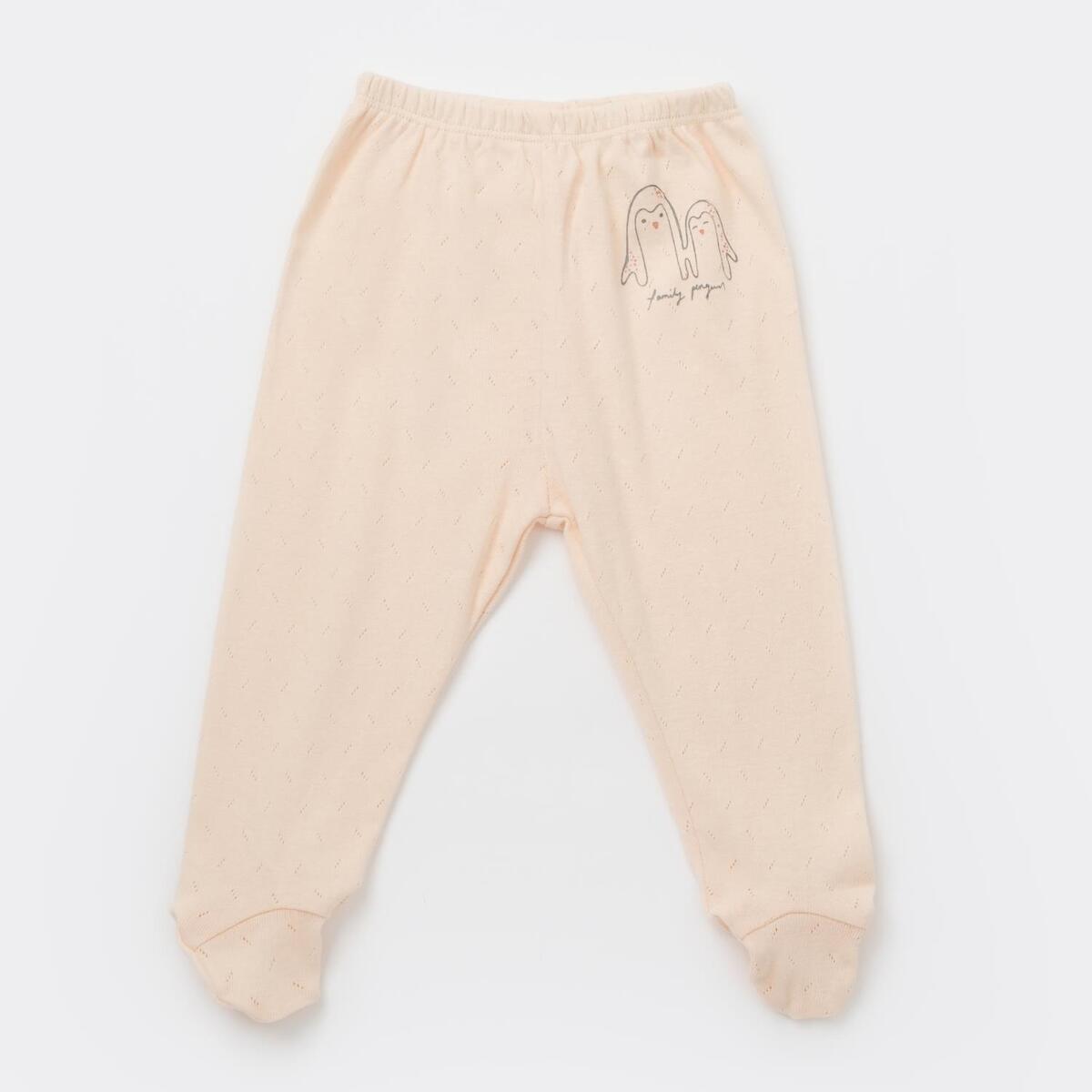 Bibaby Pantolon Patikli Family Penguins Somon