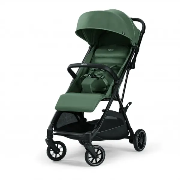 Inglesina Now Kabin Bebek Arabası Sprint Green