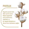 Pure Baby Pamuk Bebek Bezi 2 Beden Mini 68li Jumbo Paket