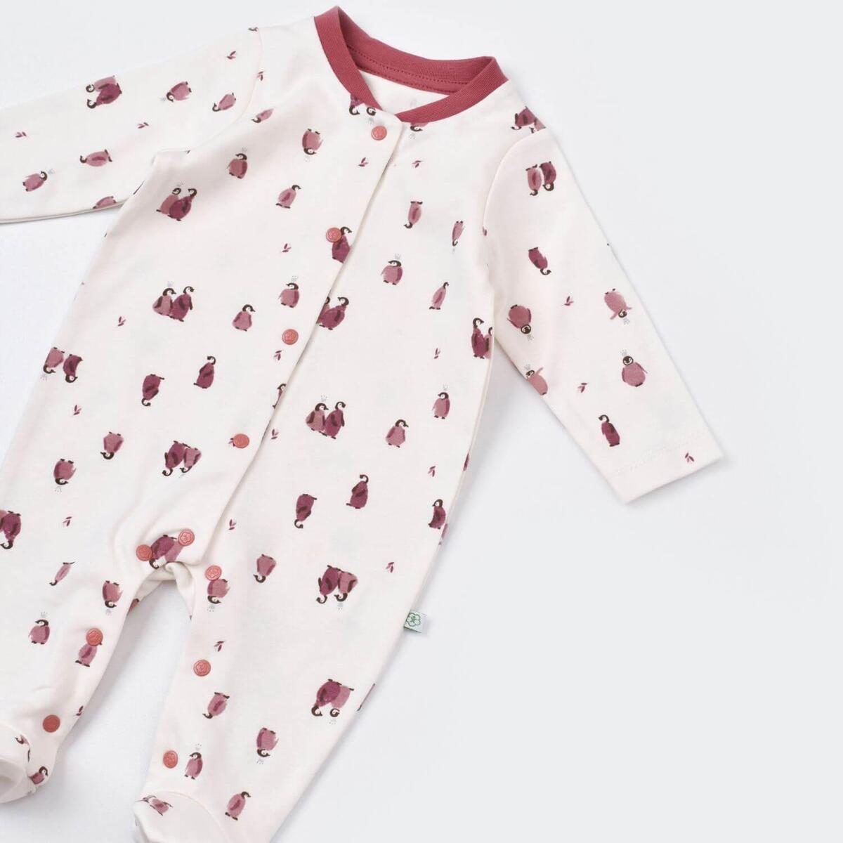 Bibaby Organik Zıbın Takımı Battaniyeli Tüllü Little Love Rose Dry