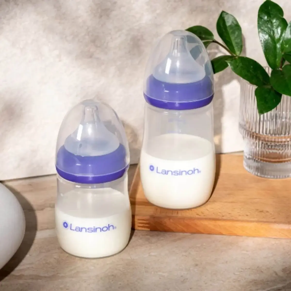 Lansinoh PP Biberon Seti 240 ml x 2
