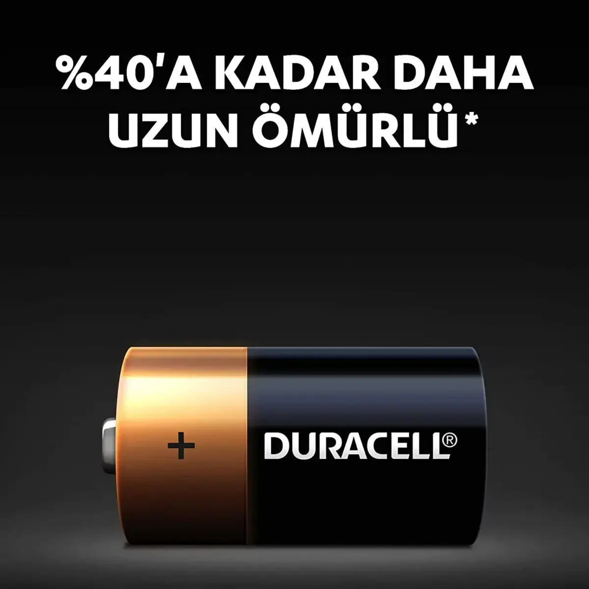 Duracell D Büyük Boy Pil 2 li