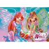 Winx Puzzle 100 Parça