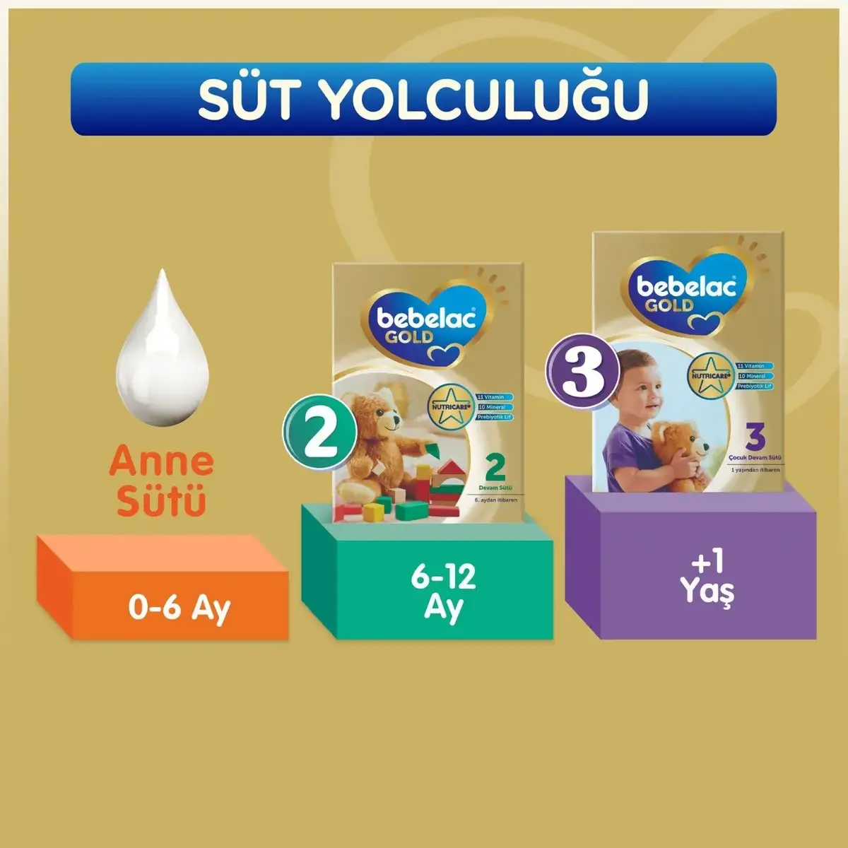 Bebelac Gold 1 Devam Sütü 350 gr 