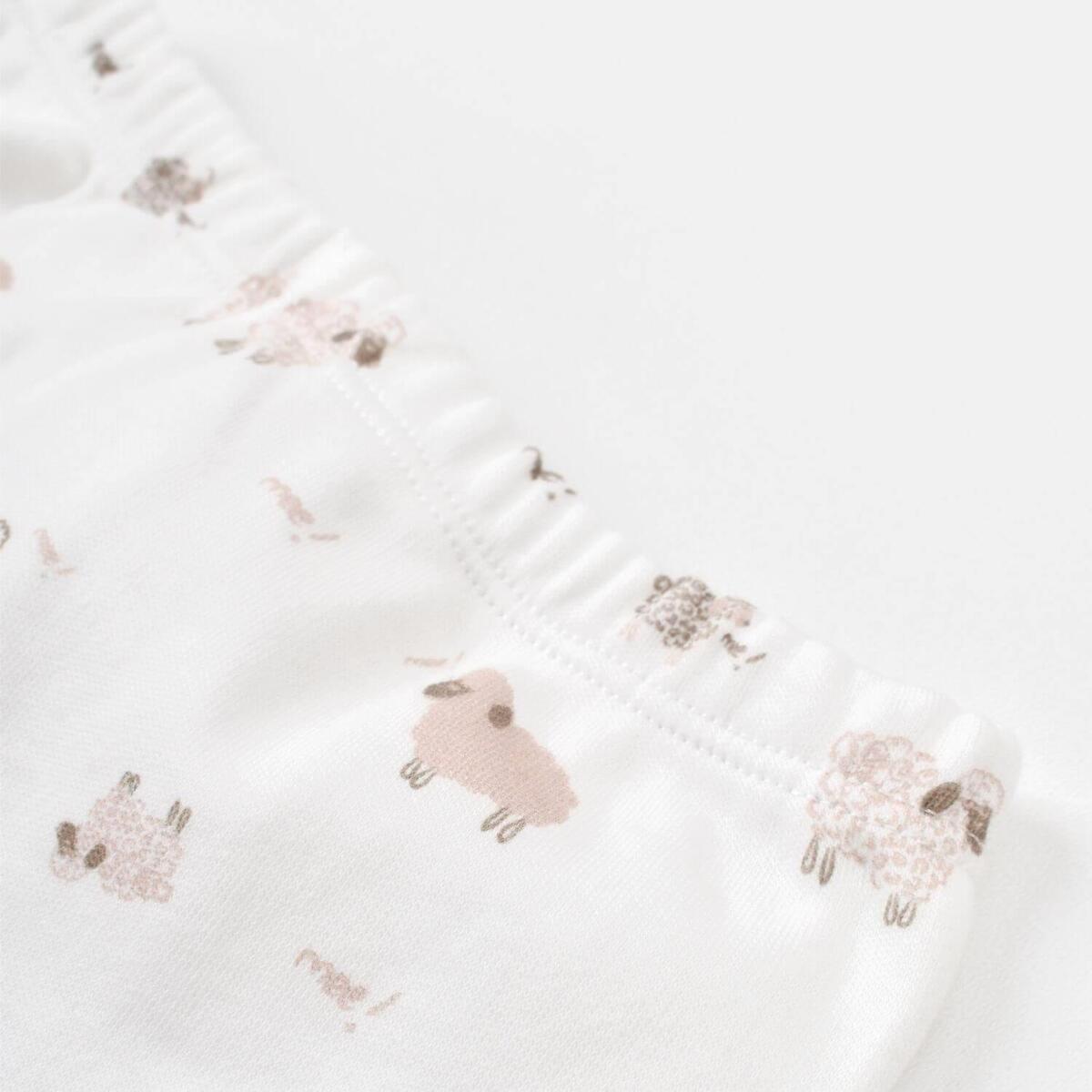 Bibaby Organik Zıbın Takımı 3lü Curly Sheep Bej