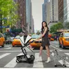 Mima Xari Special Edition Set New York Zebra