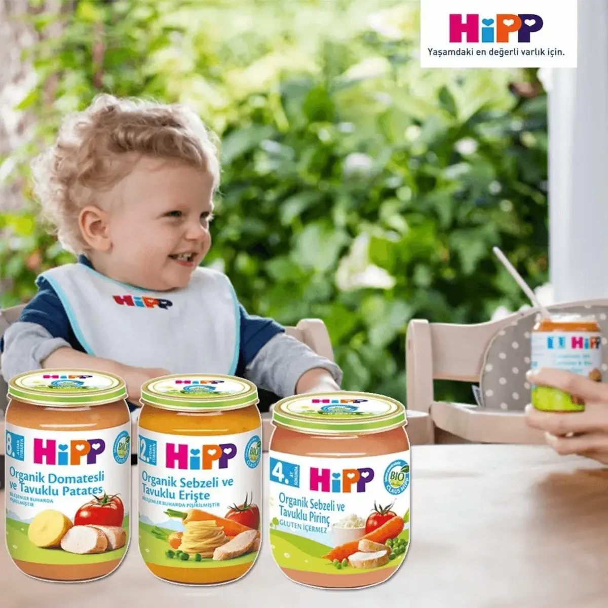 Hipp Organik Sebze Karışımı 125 gr x3