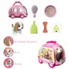 Vardem Taşıma Araba Çantalı Hareketli Pilli Köpek Set