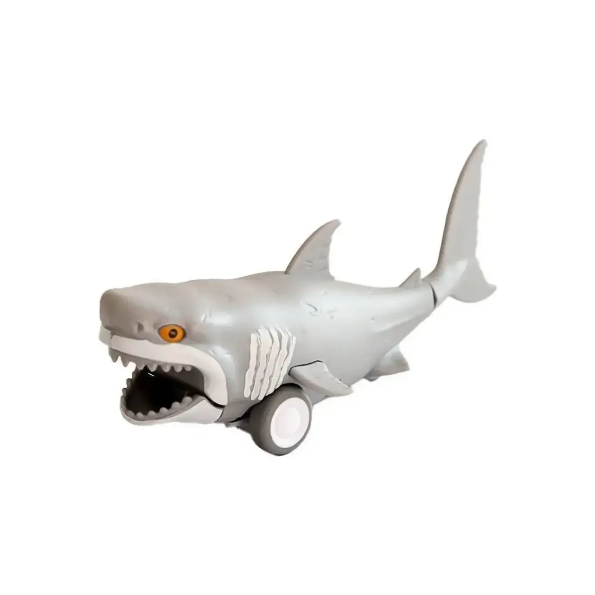 Displayde Sürtmeli Su Altı Dünyası