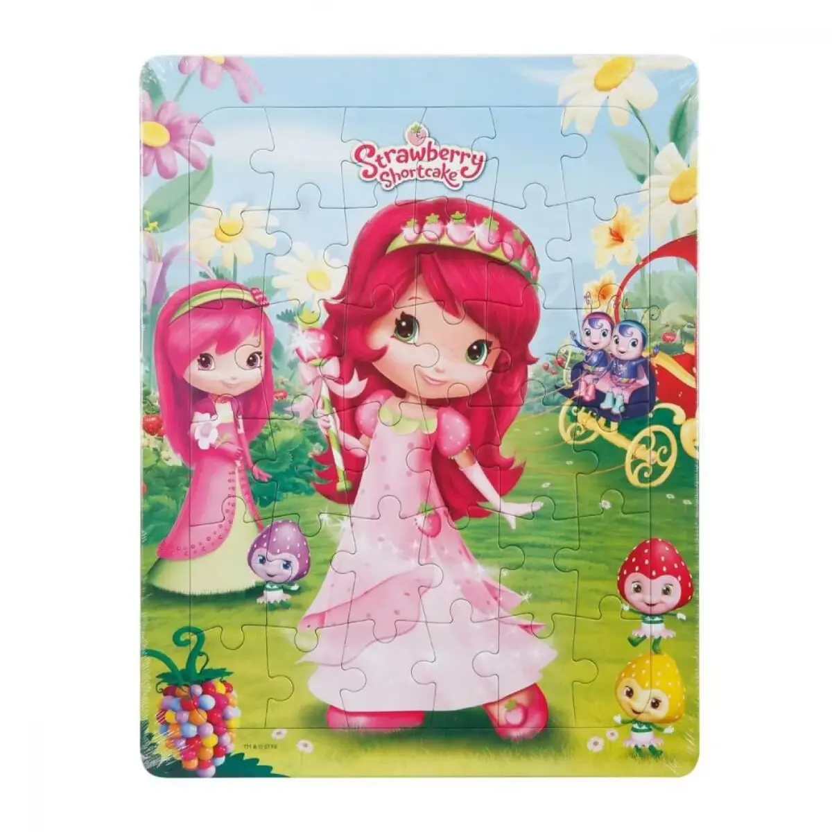 Frame Puzzle Sihirli Dünya ve Arkadaşları 36 Parça