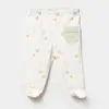 Bibaby Organik Pantolon Patikli Tiny Birds Ekru - Yeşil