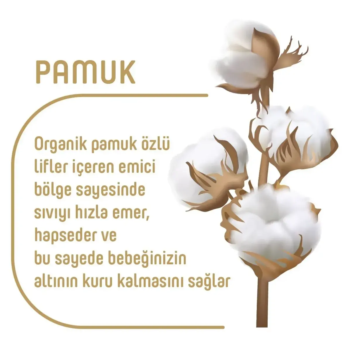 Pure Baby Pamuk Bebek Bezi Yenidoğan 64lü Jumbo Paket