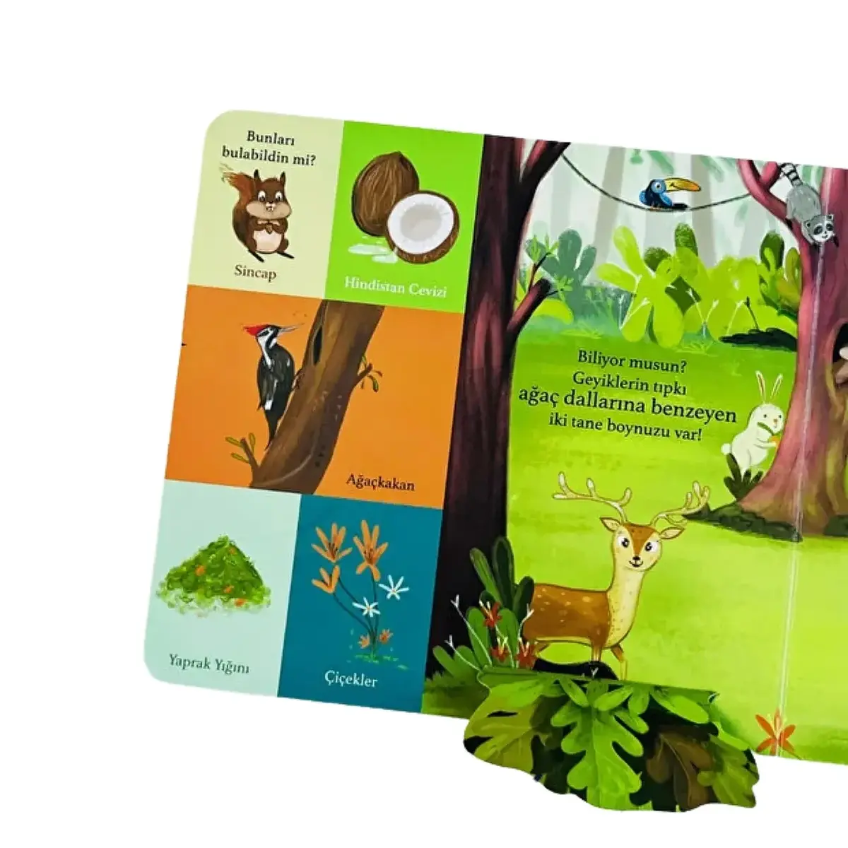 Bir Yola Çık Hayvanlar Parmak Takipli Kitap