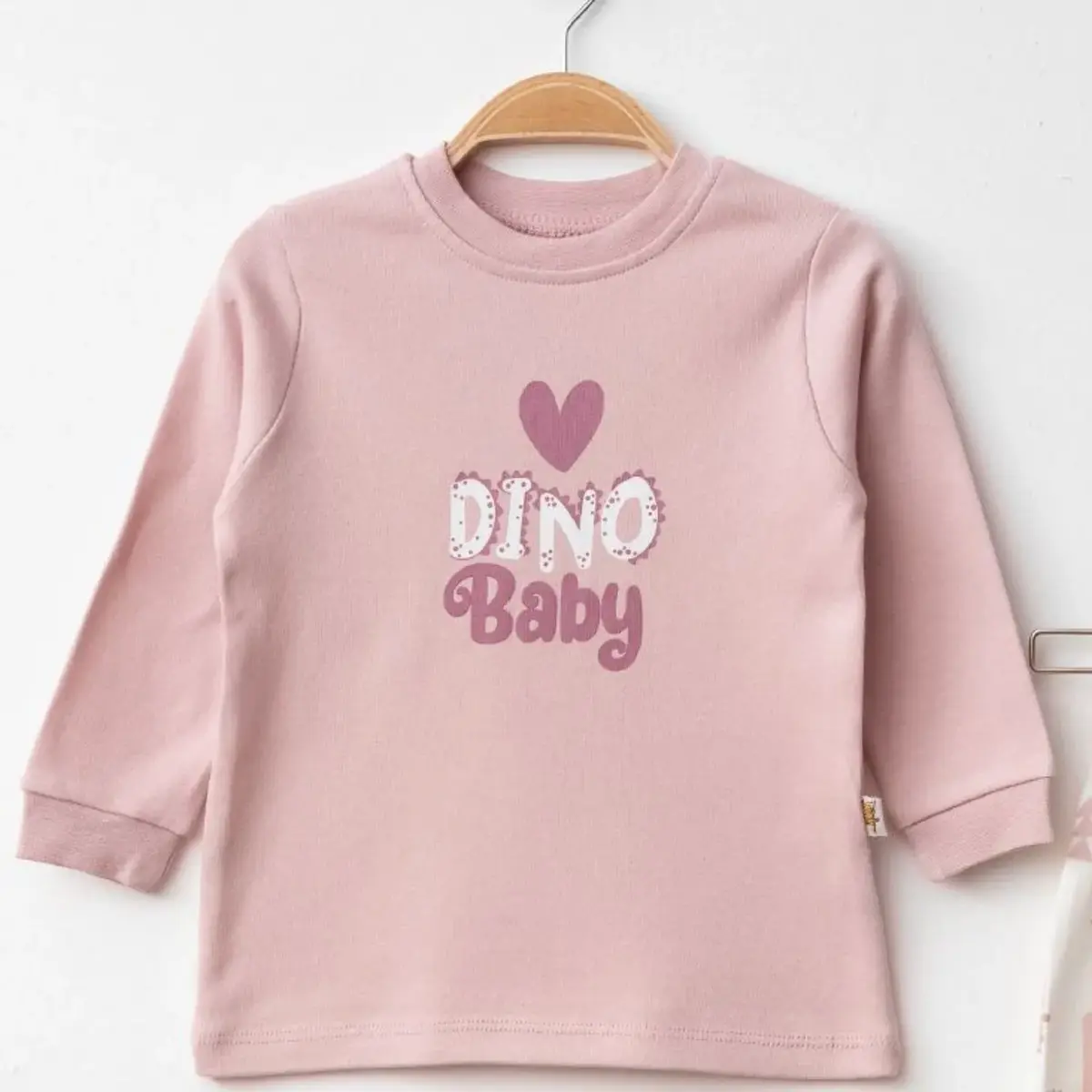 Mini Damla Pijama Takımı Penye Dino Baby Baskılı Pudra