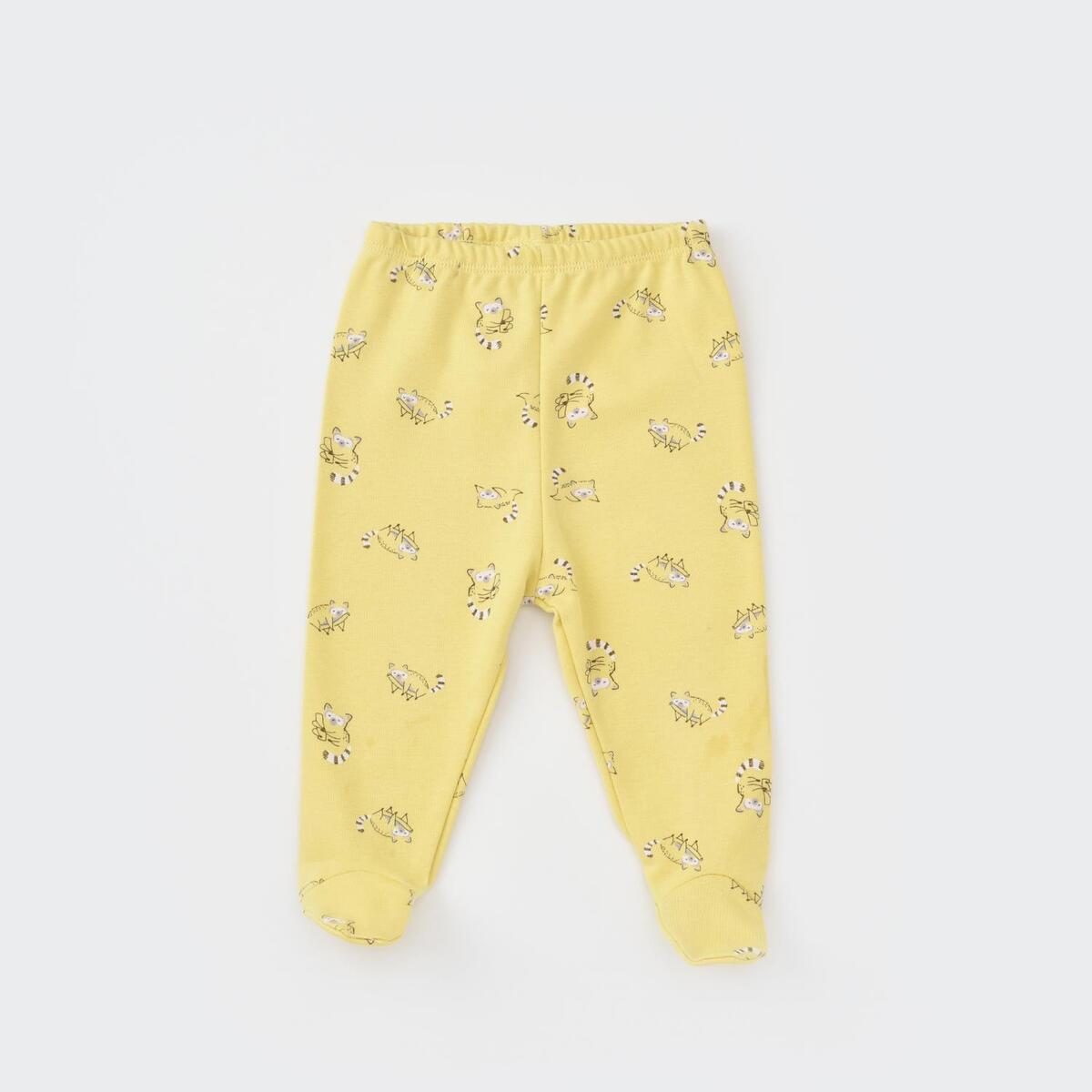 Bibaby Organik Zıbın Takımı Battaniyeli Tüllü Baby Racoon Lemon Grass Vanilla Ice