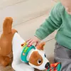 Emeklemeyi ve Saymayı Öğreten Köpekçik