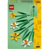 LEGO Iconic Nergis 40747