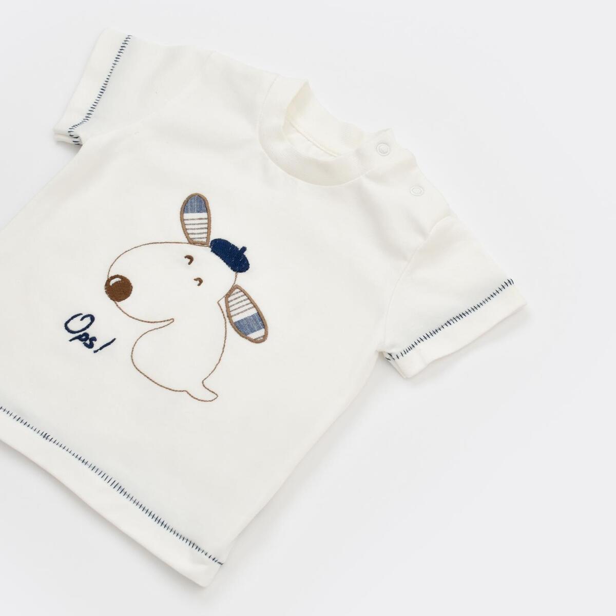 Bibaby 2li Takım Şortlu Stripe Sytle Lacivert - Bej