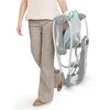 Ingenuity Swing & Go Taşınabilir Salıncak