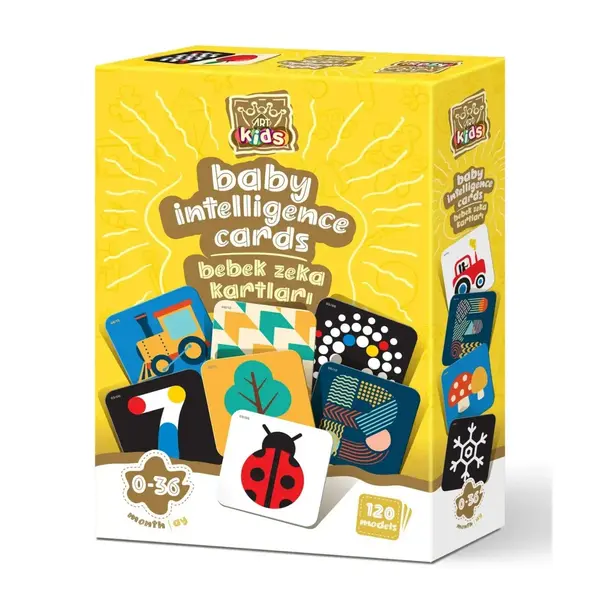 Art Kids Baby Zeka Kartları