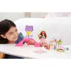 Barbie Chelsea Kaykay Parkı