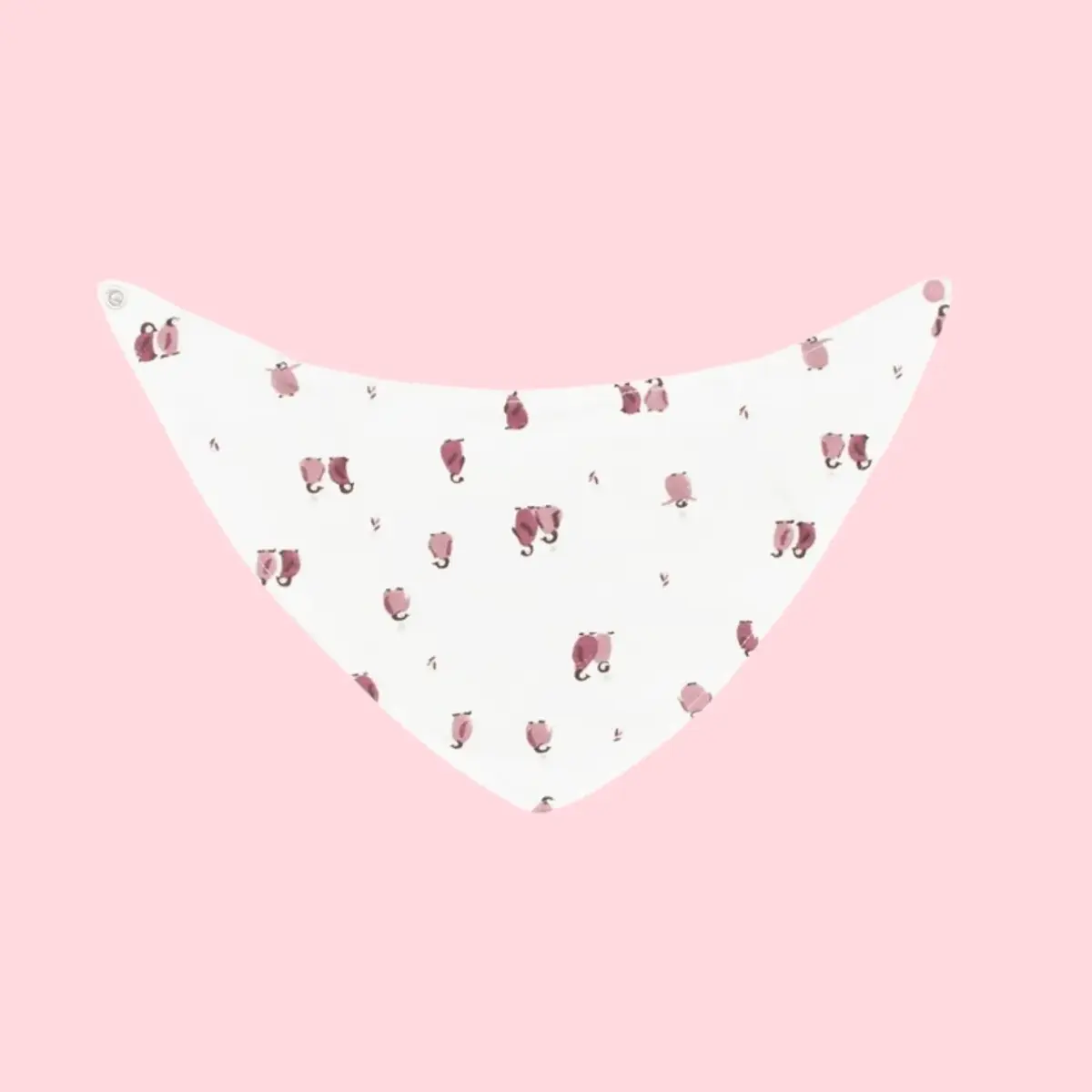 Bibaby Organik Fular Önlük 2li Little Love Rose Dry