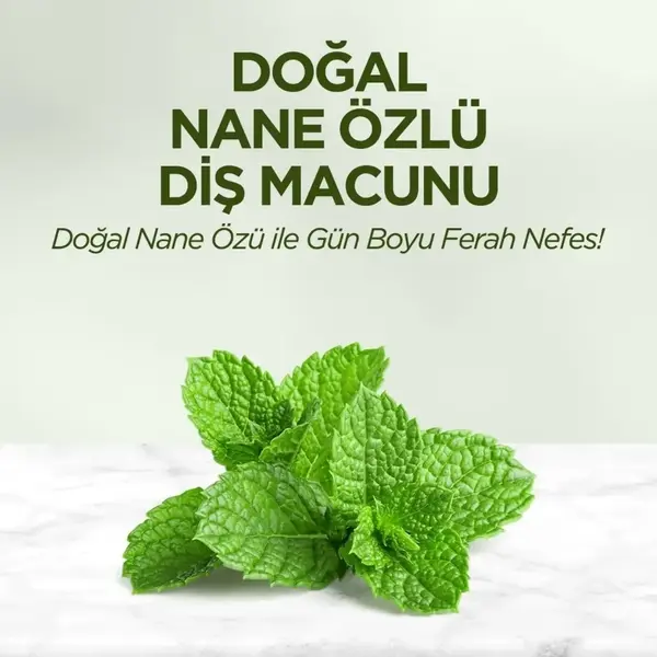 Eyüp Sabri Tuncer Doğal Nane Özlü Diş Macunu 90 ml Eyüp Sabri Tuncer Doğal Nane Özlü Diş Macunu 90 ml